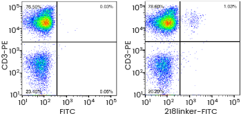 image009.png image009.png