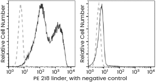 image011.png image011.png