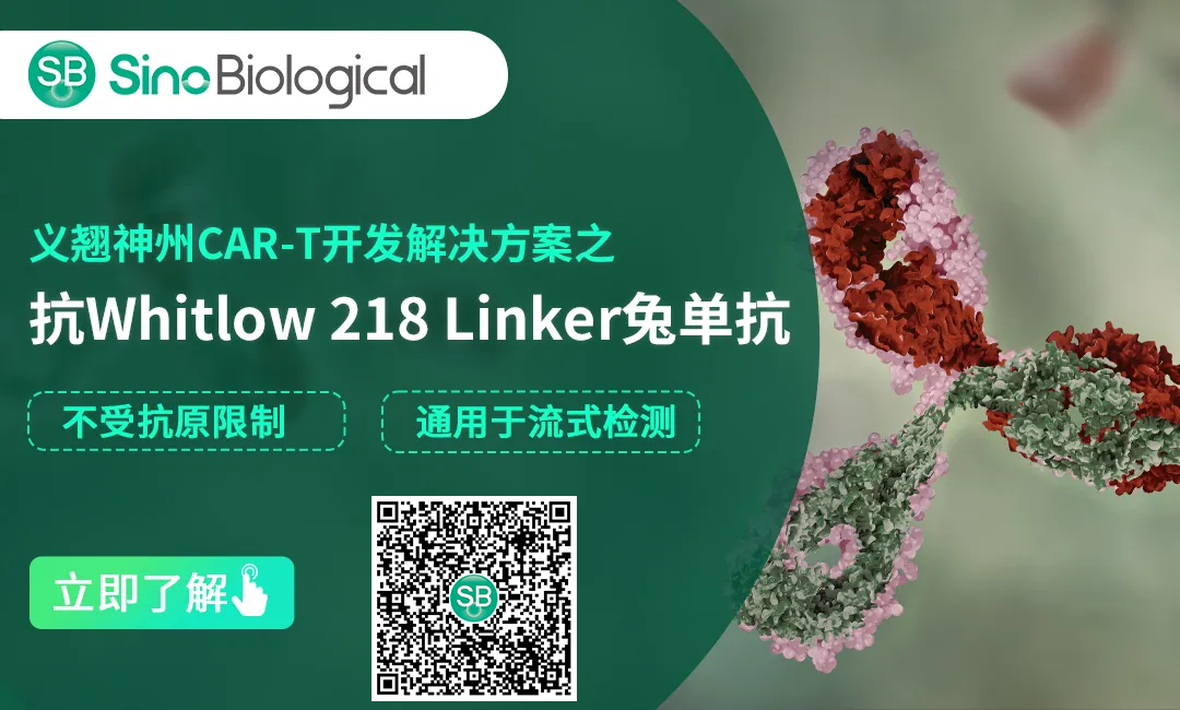 image013.png image013.png