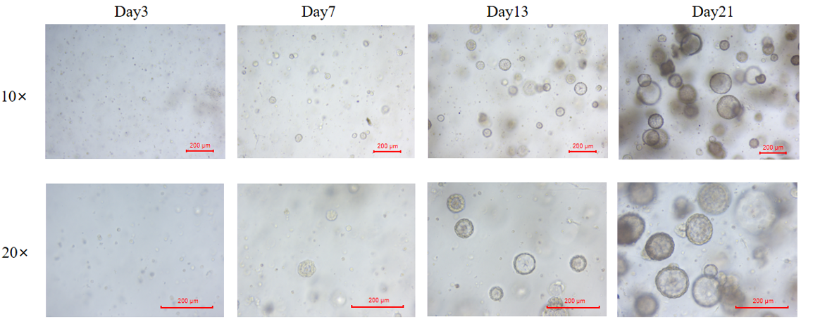 image015.png image015.png