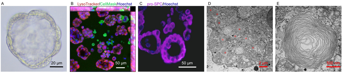 image017.png image017.png