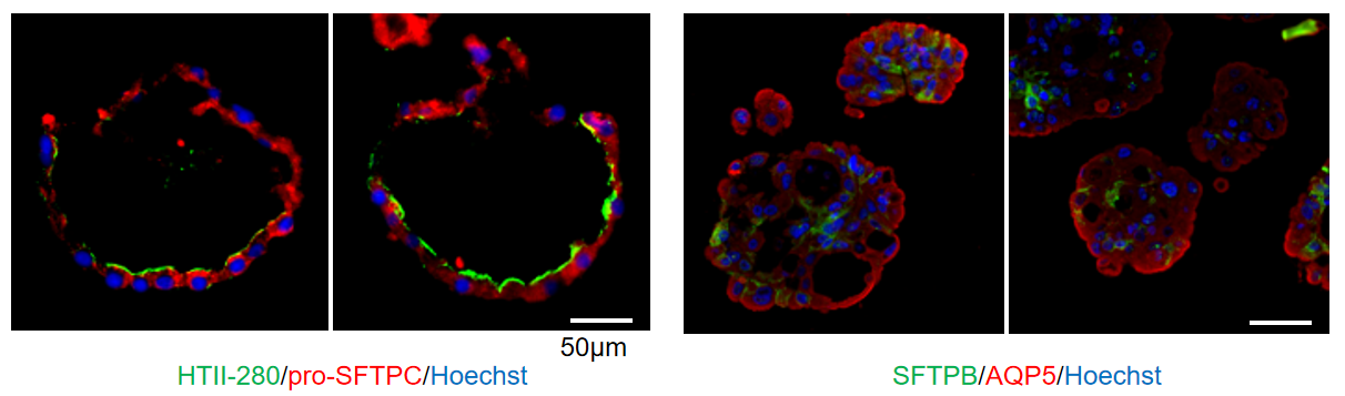 image019.png image019.png