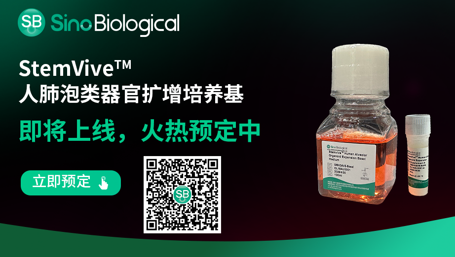 image021.png image021.png