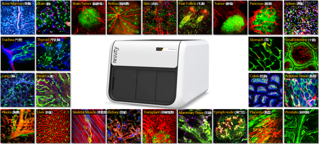 image001.png image001.png