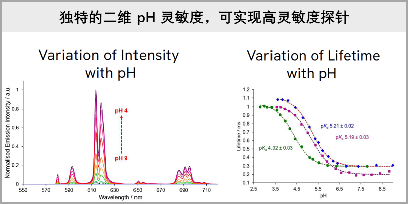 image004.png image004.png