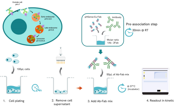 image006.png image006.png