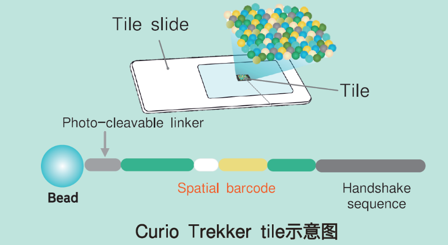 image001.png image001.png