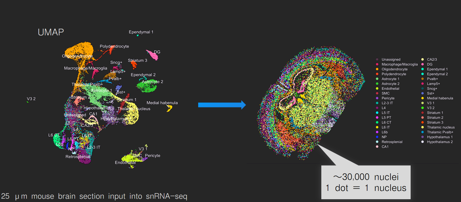 image002.png image002.png