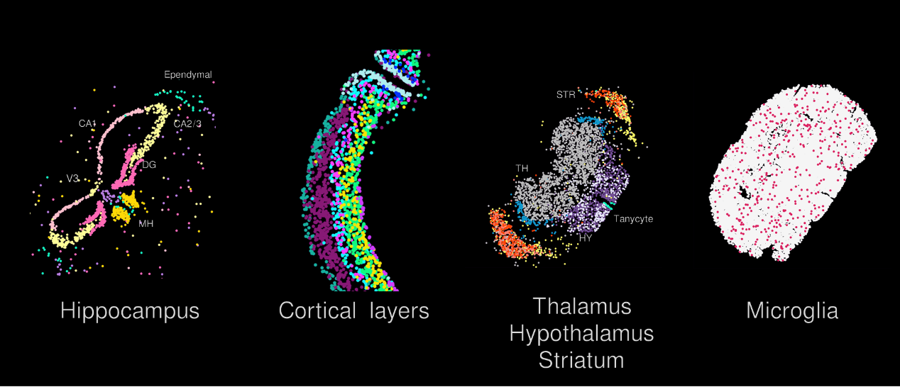 image003.png image003.png