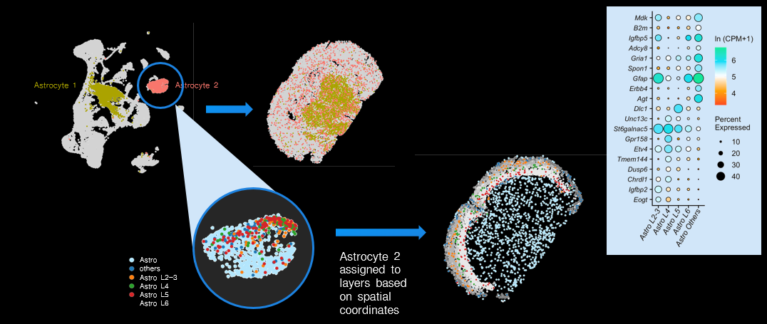 image004.png image004.png