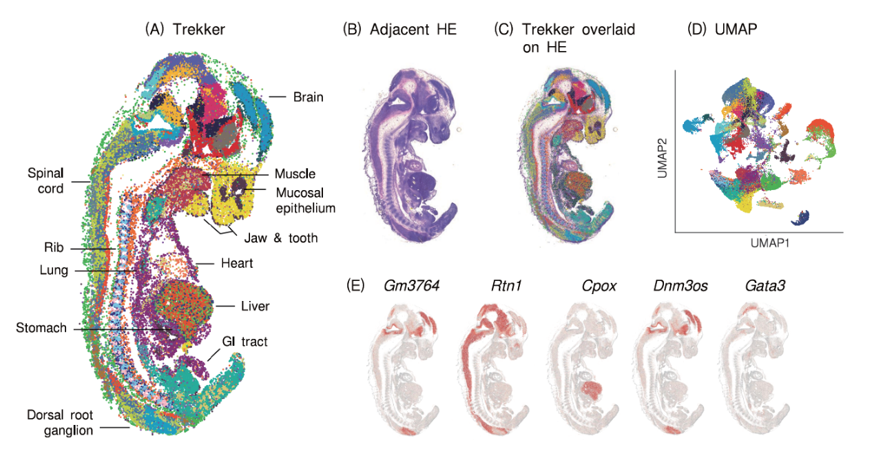 image005.png image005.png