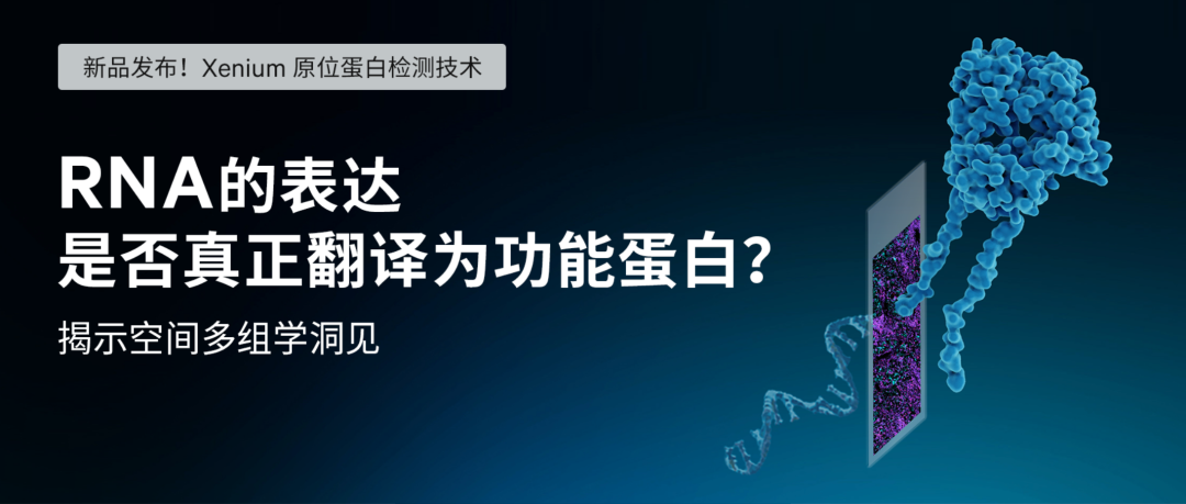 image001.png image001.png