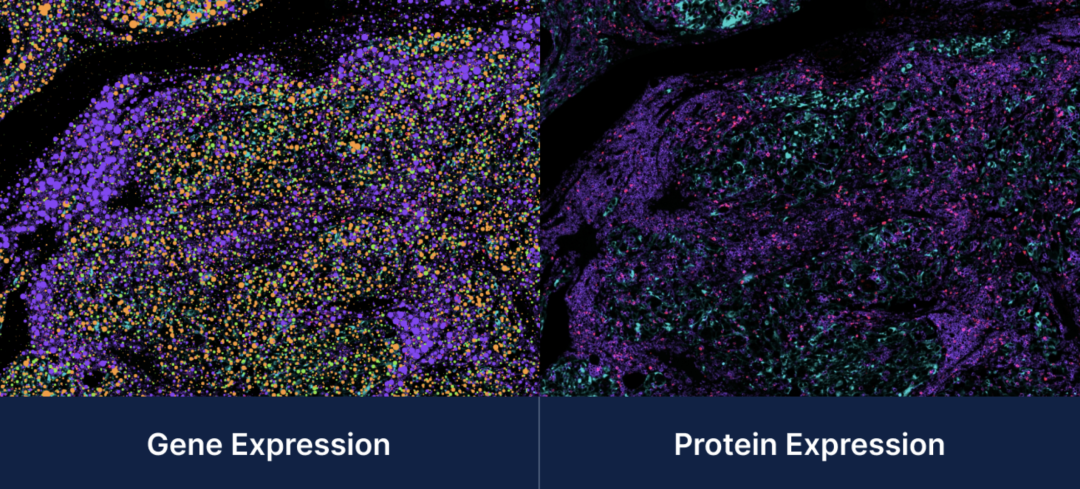 image002.png image002.png