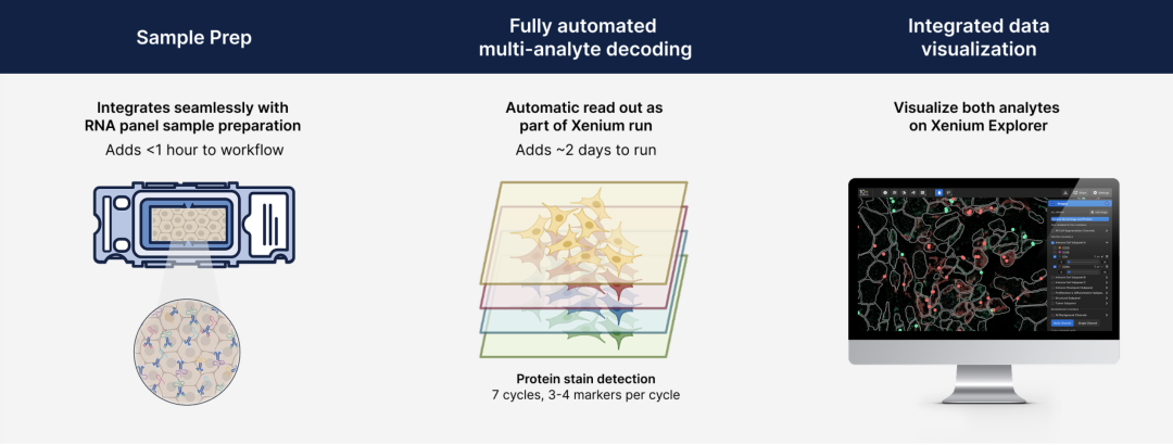 image004.png image004.png