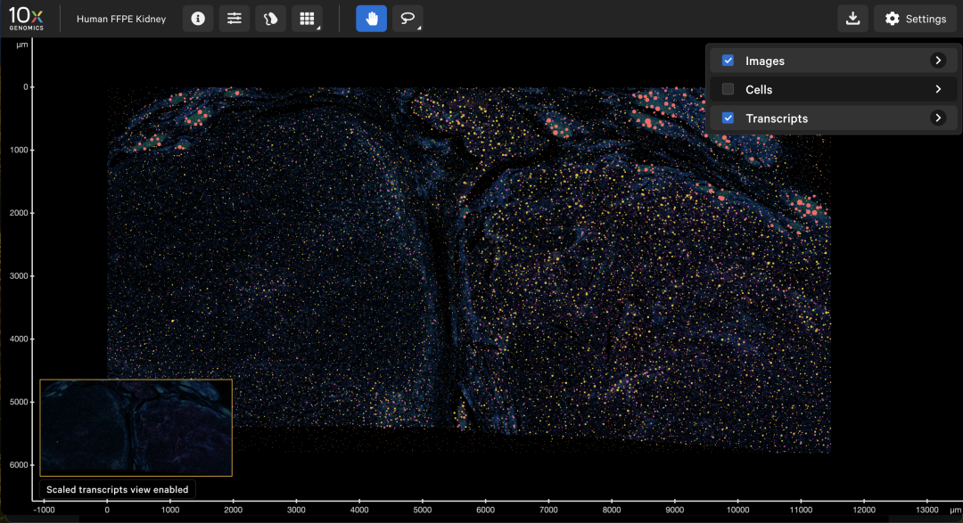 image005.png image005.png