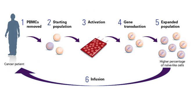 image003.png image003.png