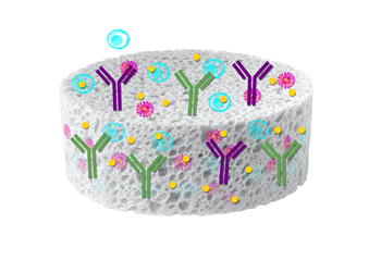 image004.png image004.png