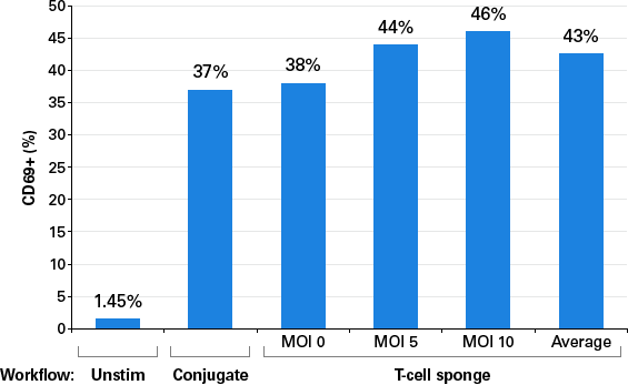 image005.gif image005.gif