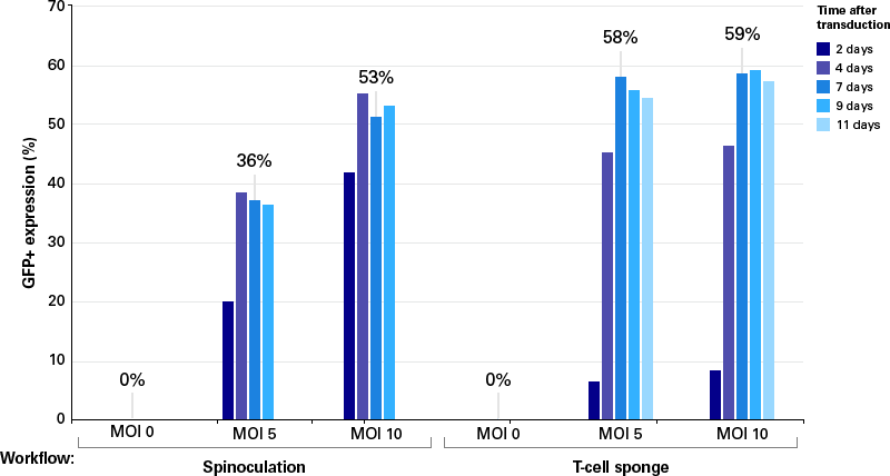 image006.gif image006.gif