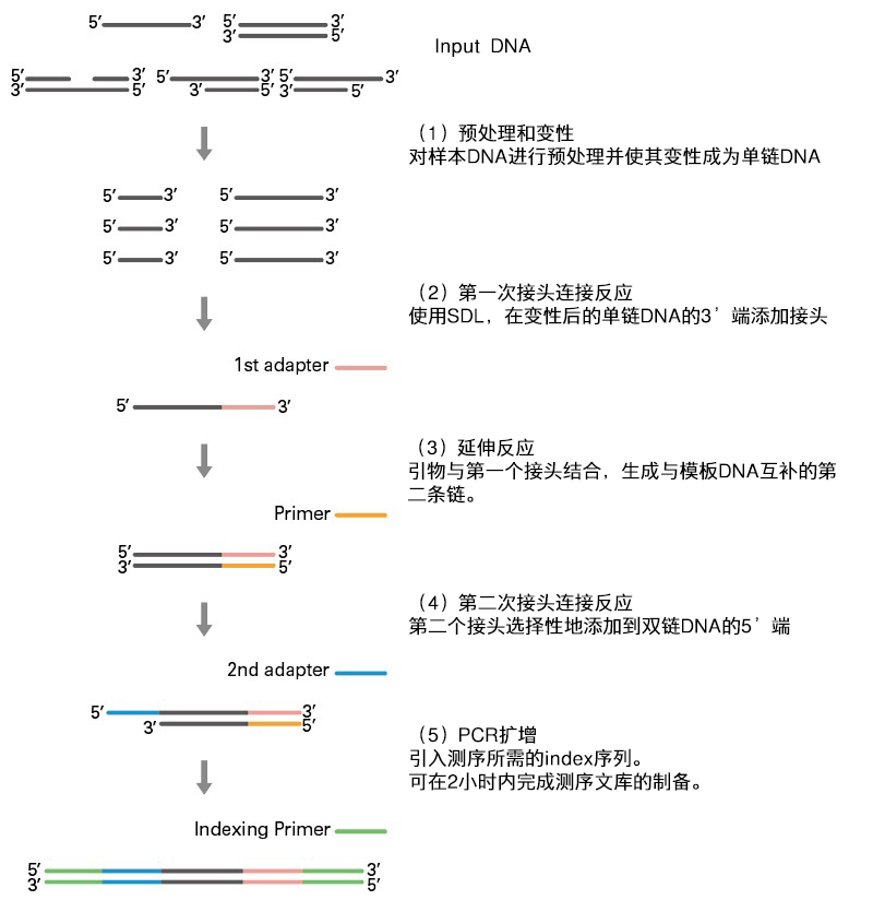 image002.png image002.png