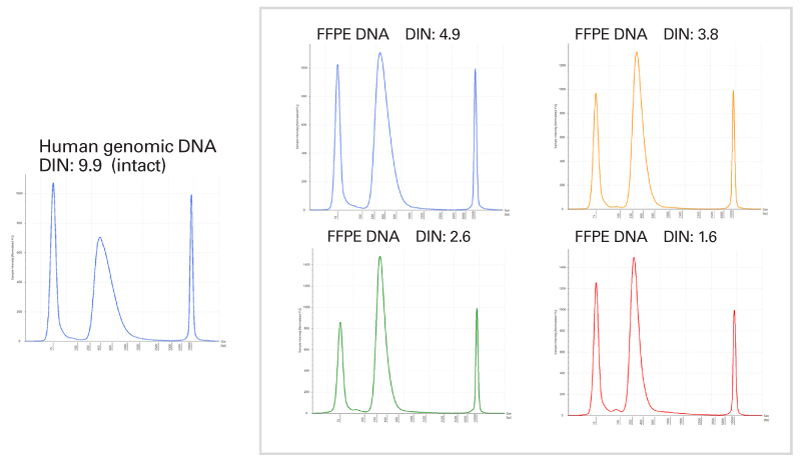 image003.jpg image003.jpg