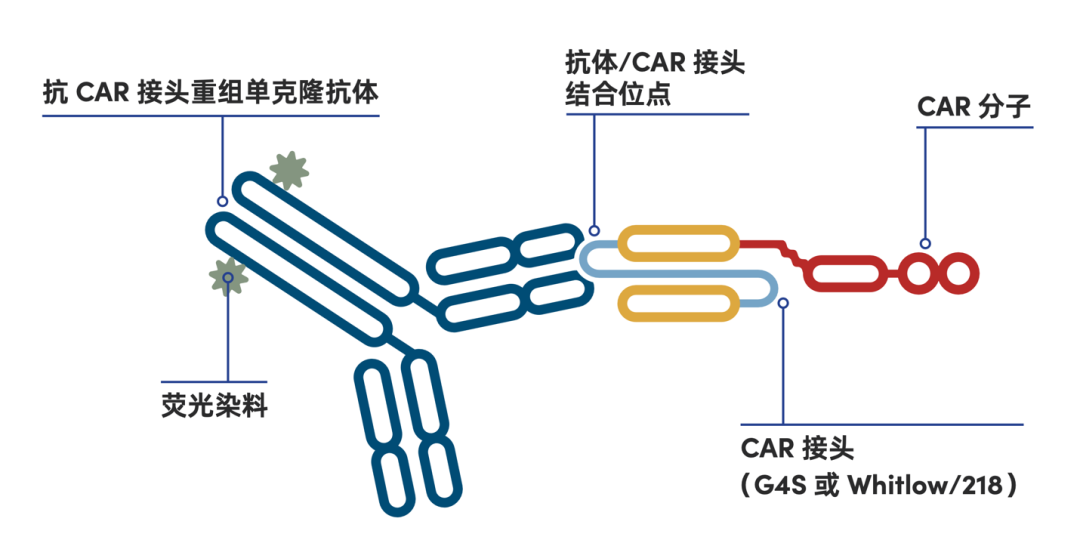 image001.png image001.png