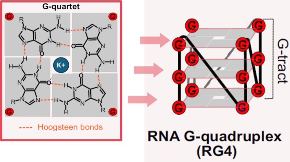 image001.png image001.png