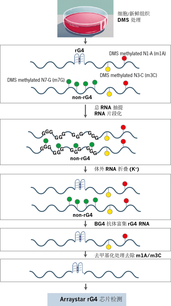 image003.png image003.png