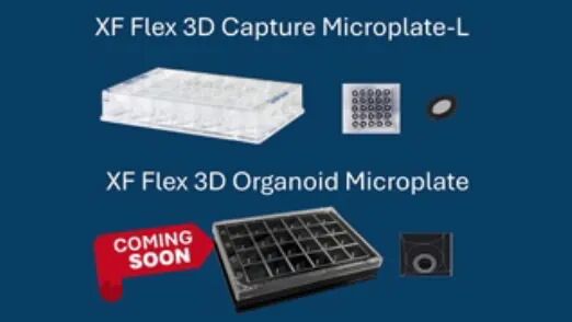 image005.jpg image005.jpg