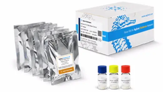 image006.png image006.png