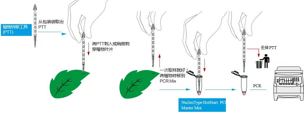 image005.jpg image005.jpg