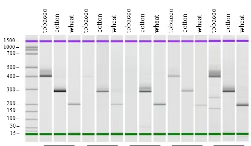 image007.jpg image007.jpg