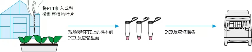 image009.jpg image009.jpg