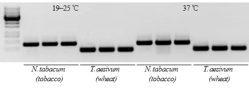 image011.jpg image011.jpg