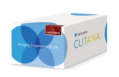 6 CUTANA meCUT&RUN.jpg