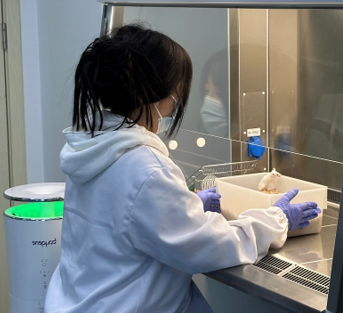 image005.png image005.png