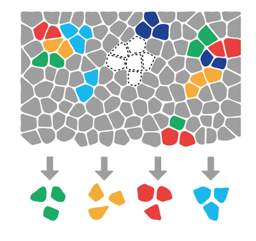 image013.png