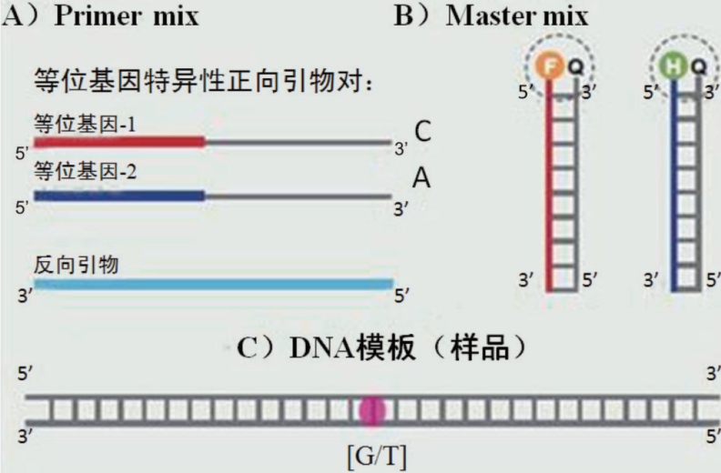 image005.png