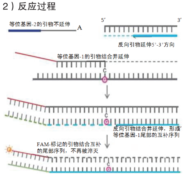 image007.png