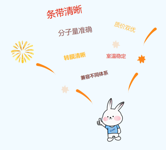 image003.png