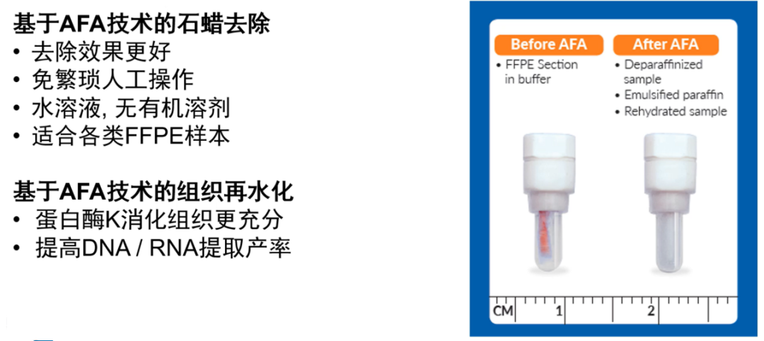 image006.png