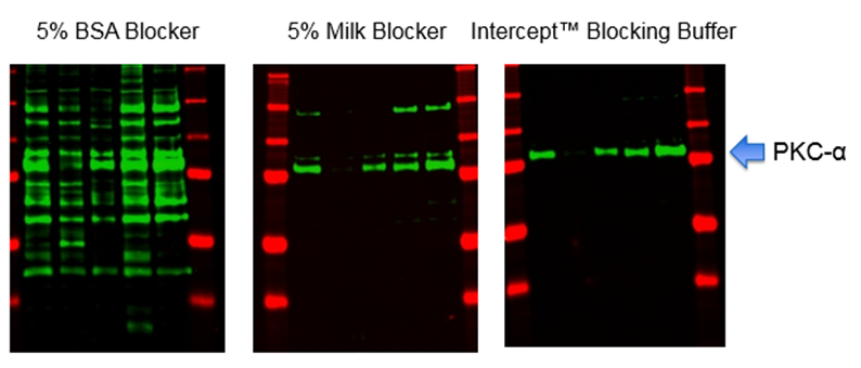 image009.png image009.png