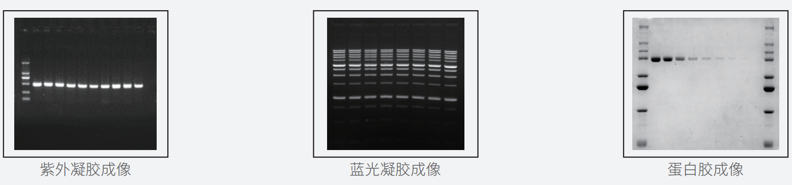 image004.png image004.png