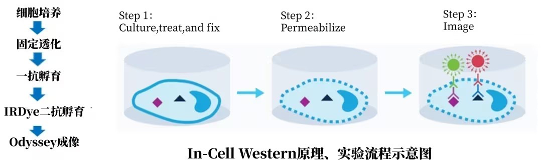 image007.png image007.png