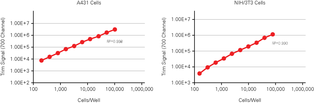 image021.png image021.png