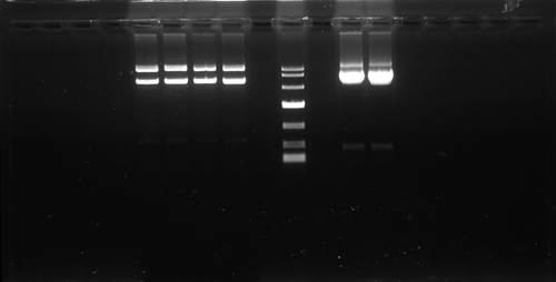 image004.png