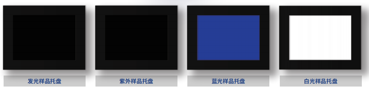 image007.png image007.png