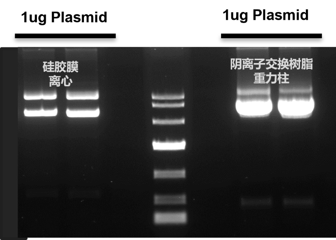 image003.png