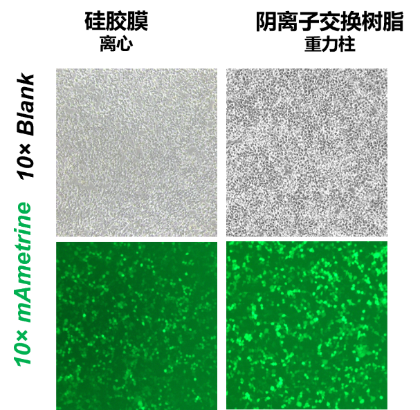 image005.png