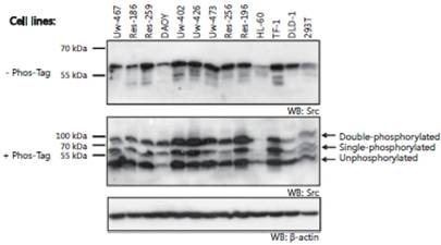 C:\Documents and Settings\kandy\����\132.jpg